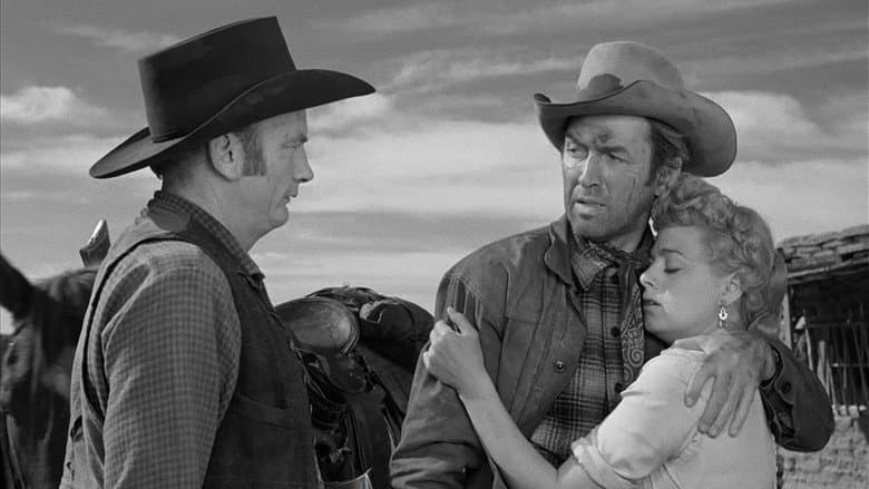 Winchester '73 still