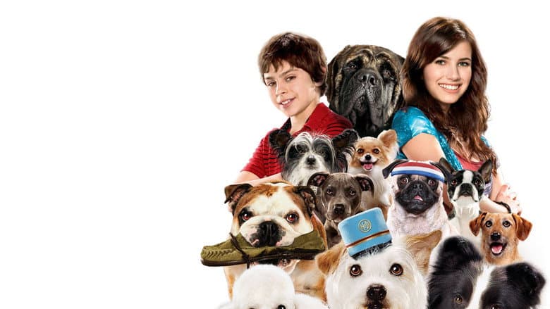 Hotel for Dogs still