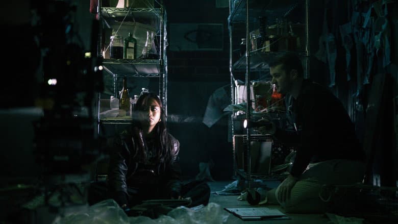 Chiroptera still