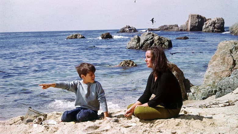 The Sandpiper still