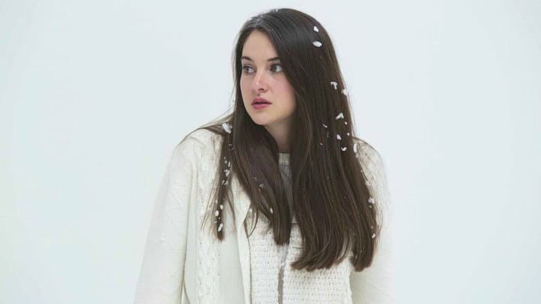 White Bird in a Blizzard still
