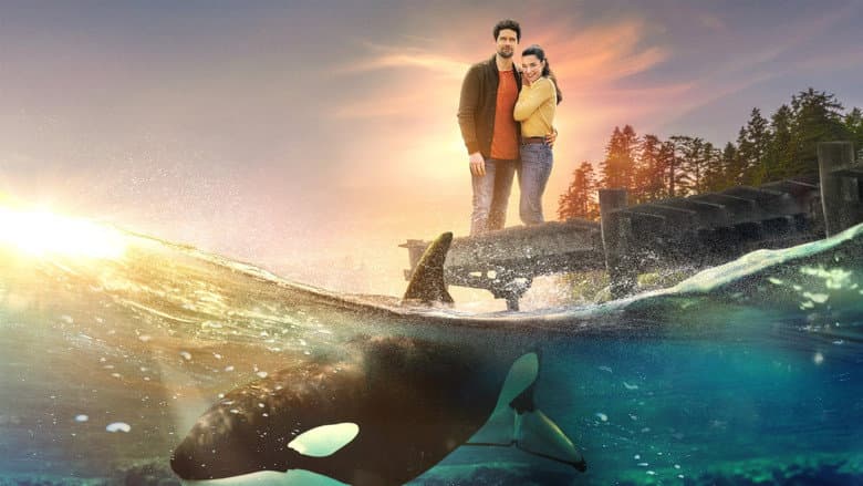 A Splash of Love still