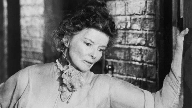 The Glass Menagerie still