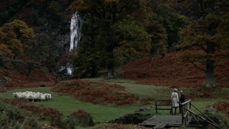 Images still