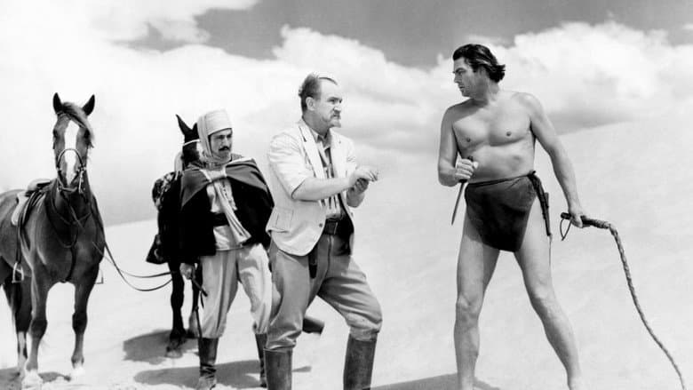 Tarzan's Desert Mystery still