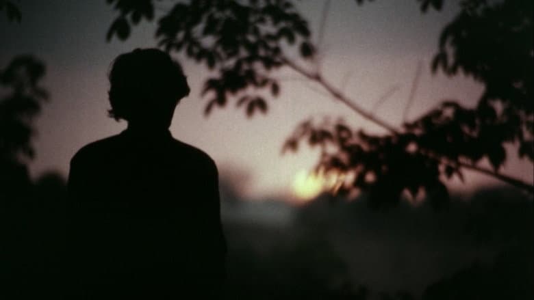 Pokkuveyil still