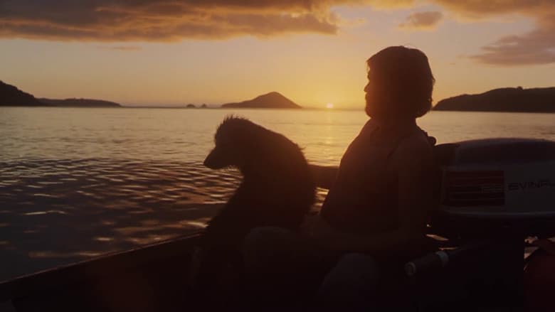 Sleeping Dogs still