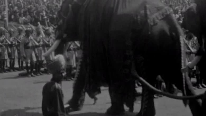 Mysore Dasara still