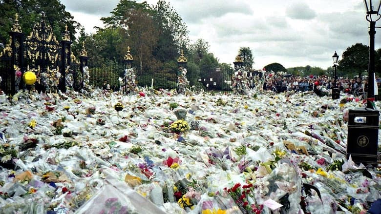 Unlawful Killing still