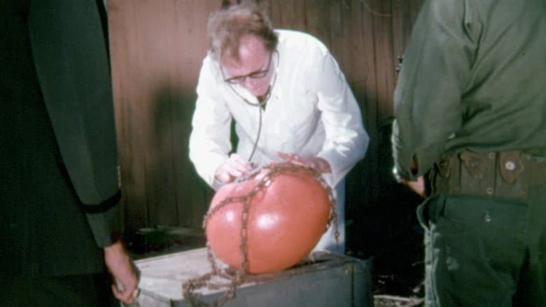 Attack of the Killer Tomatoes! still