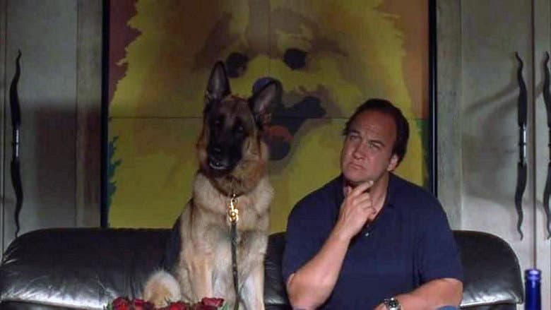K-9: P.I. still