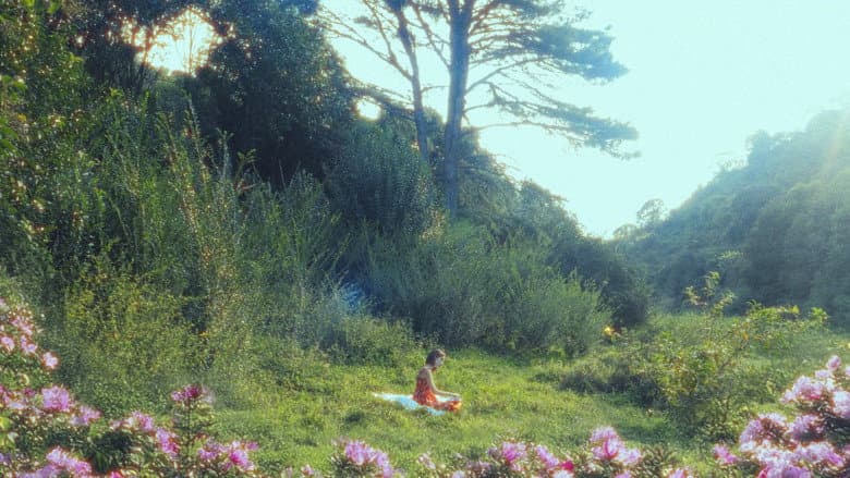 Mi Jardín still