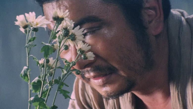 Zatoichi Goes to the Fire Festival still
