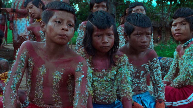 The Buriti Flower still