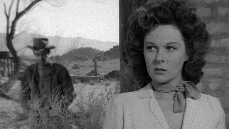Rawhide still