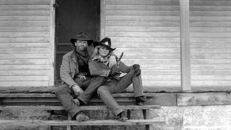 The Last Days of Frank and Jesse James still