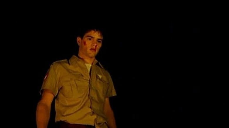 Campfire still