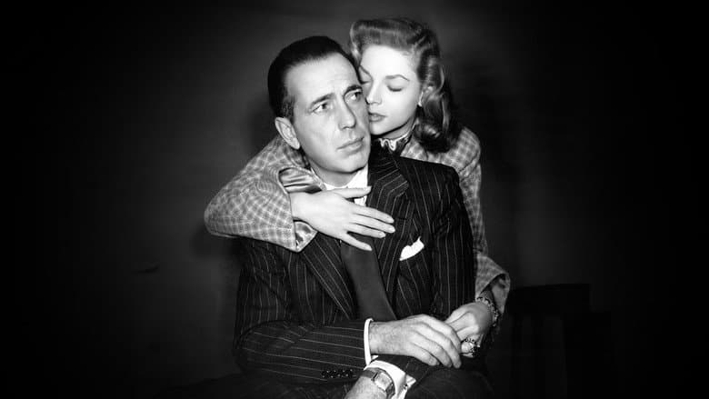 Bogart: Life Comes in Flashes still