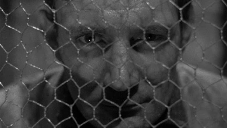 They Made Me a Fugitive still