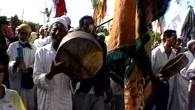 Boujad: A Nest in the Heat still