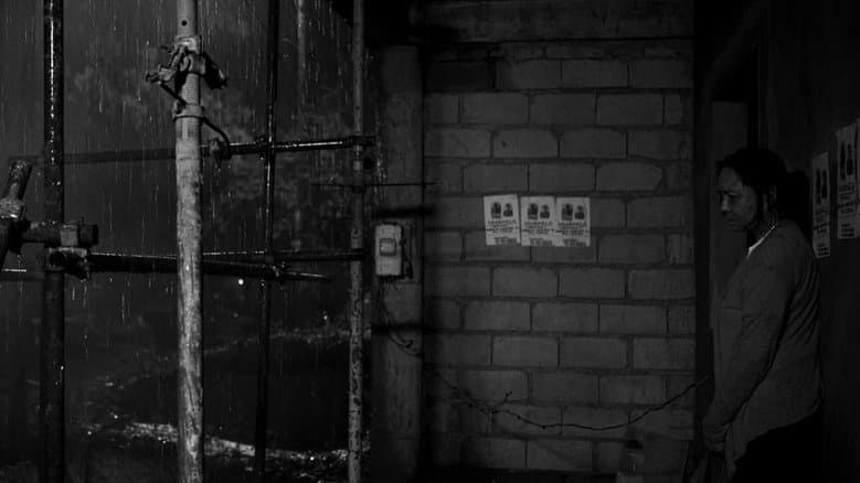 The Woman Who Left still