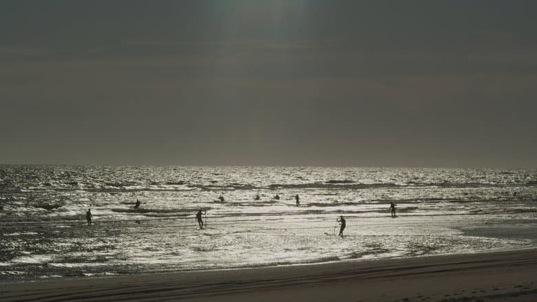 The Sea Stares at Us from Afar still