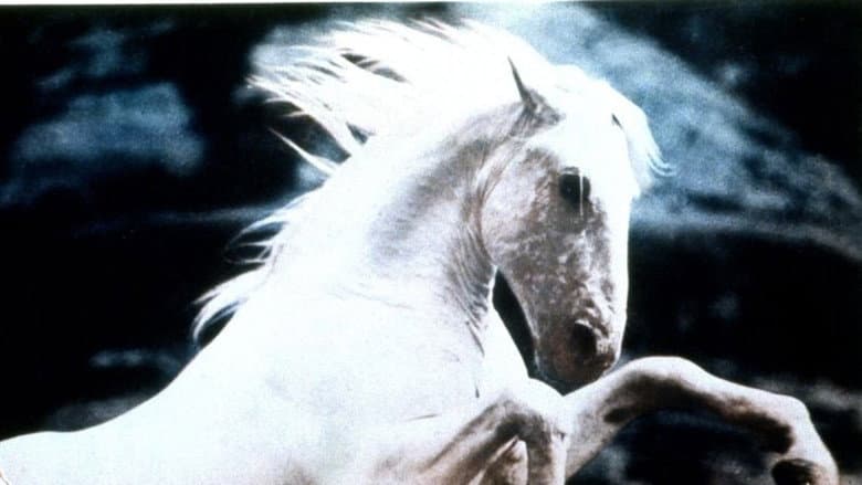 Silver Stallion still