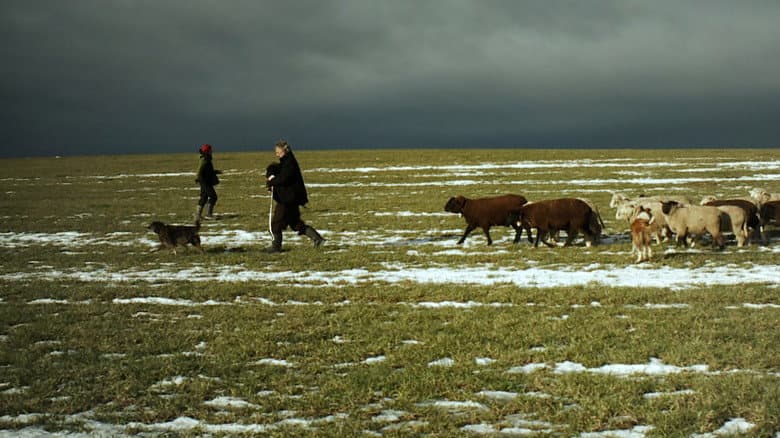 Winter Nomads still