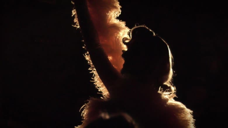 Burlesque still