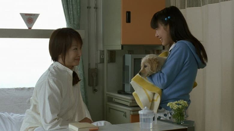 10 Promises to My Dog still