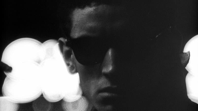 Shadows still