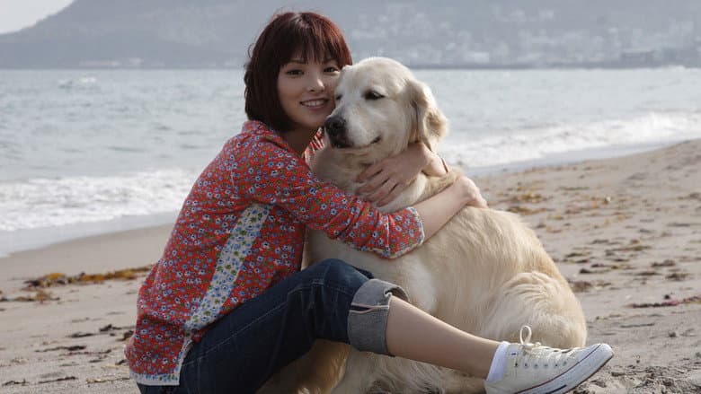 10 Promises to My Dog still