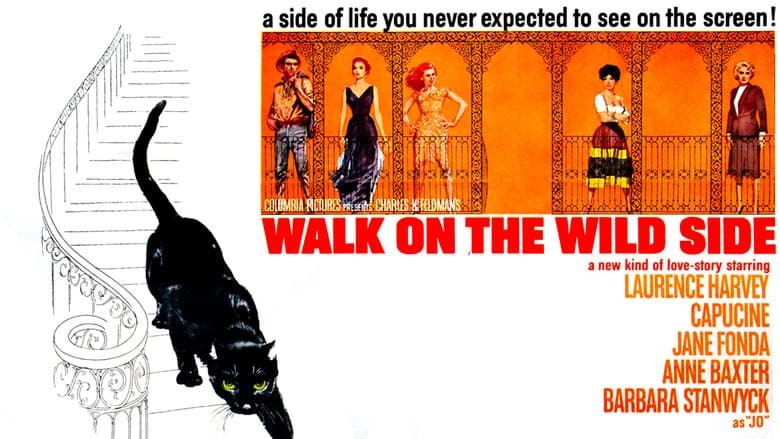 Walk on the Wild Side still
