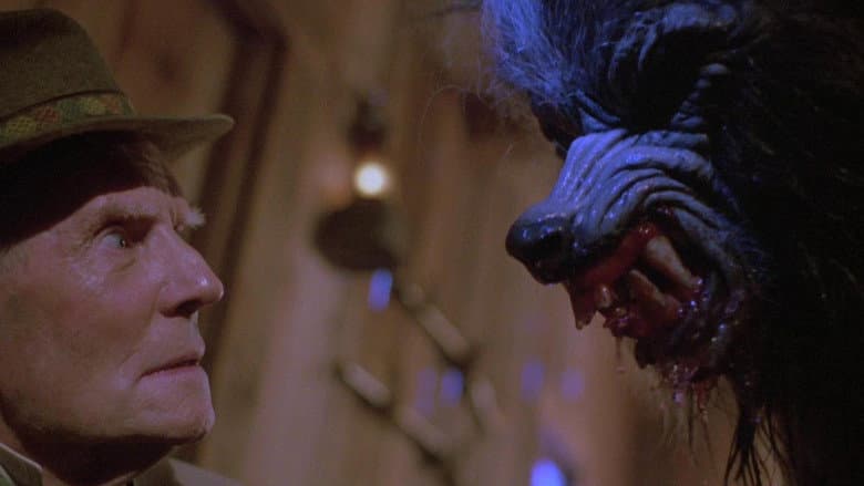 Waxwork still