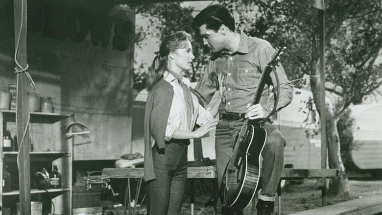 Roustabout still