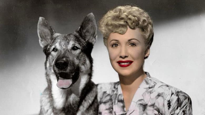 The Return of Rin Tin Tin still