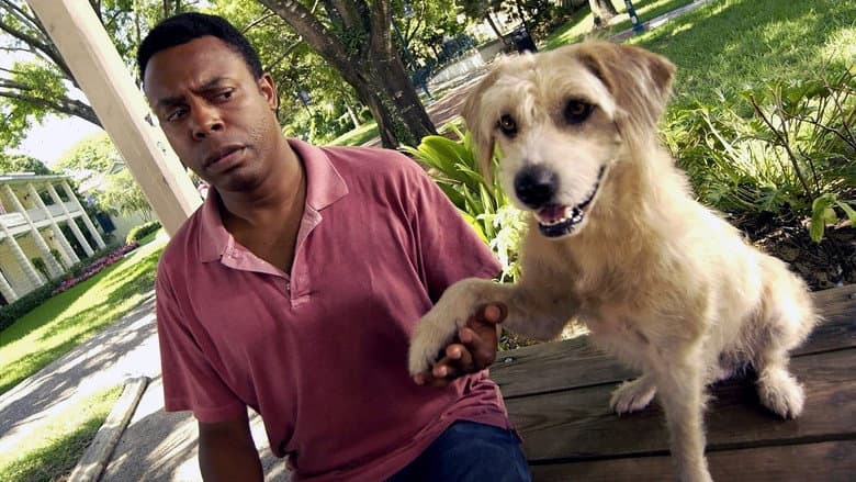 Lenny The Wonder Dog still