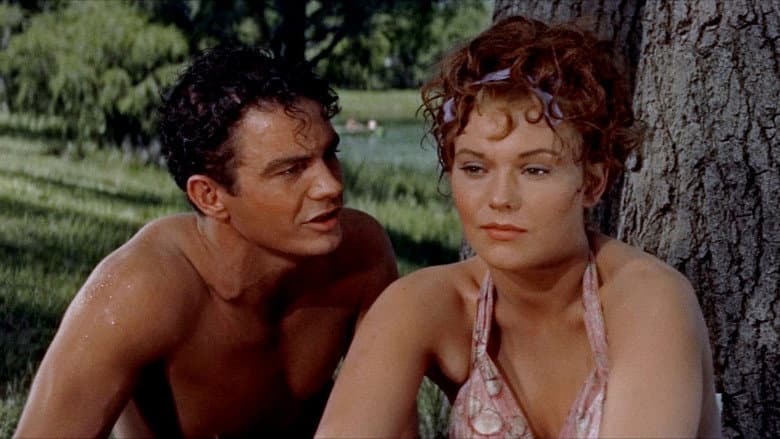 Picnic still