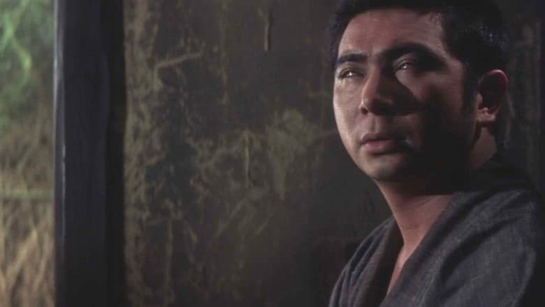 New Tale of Zatoichi still