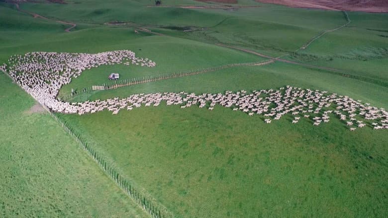 Aerial New Zealand still