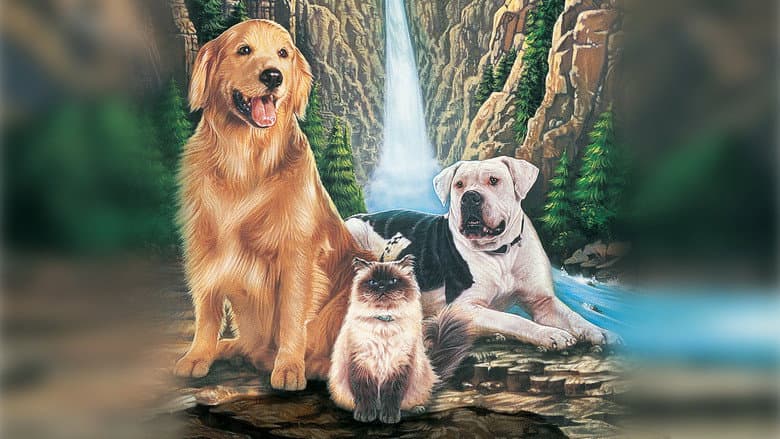 Homeward Bound: The Incredible Journey still