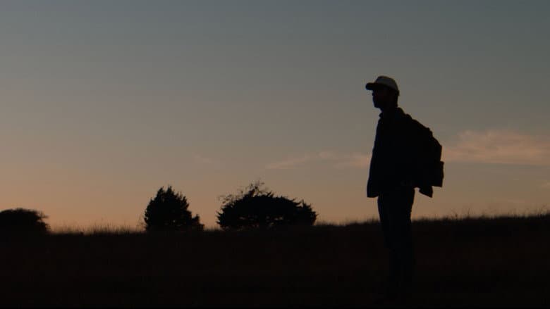 Honeybee still