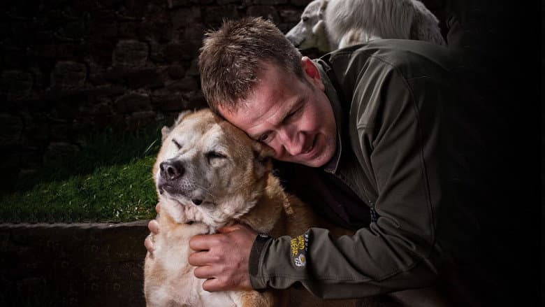 Animal Airlift: Escaping the Taliban still