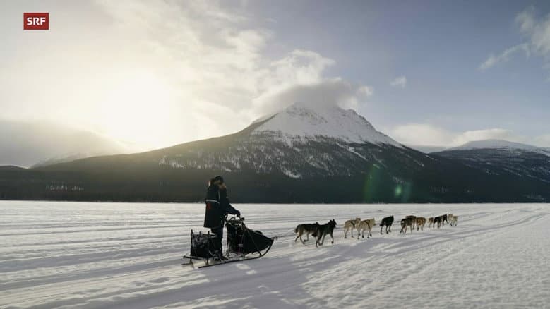 Musher, l'appel de l'Alaska still