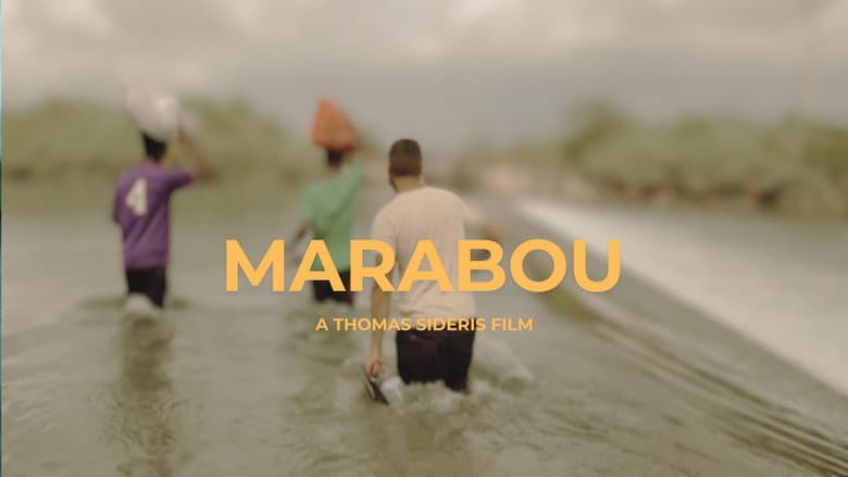 MARABOU still
