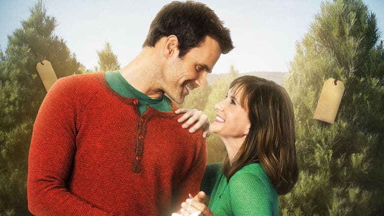 The Christmas Ornament still