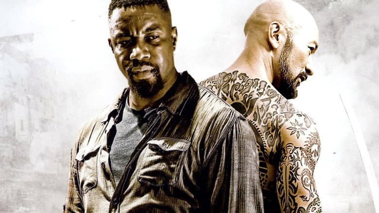 Falcon Rising still