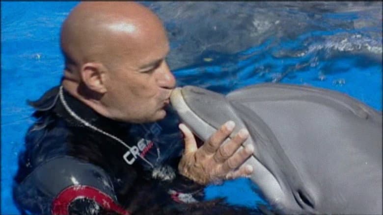 The Last Dolphin King still