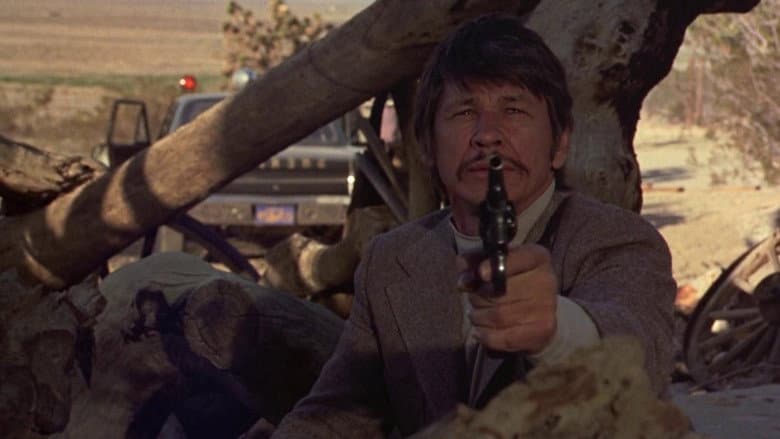The Stone Killer still