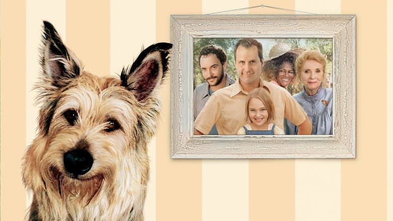 Because of Winn-Dixie still
